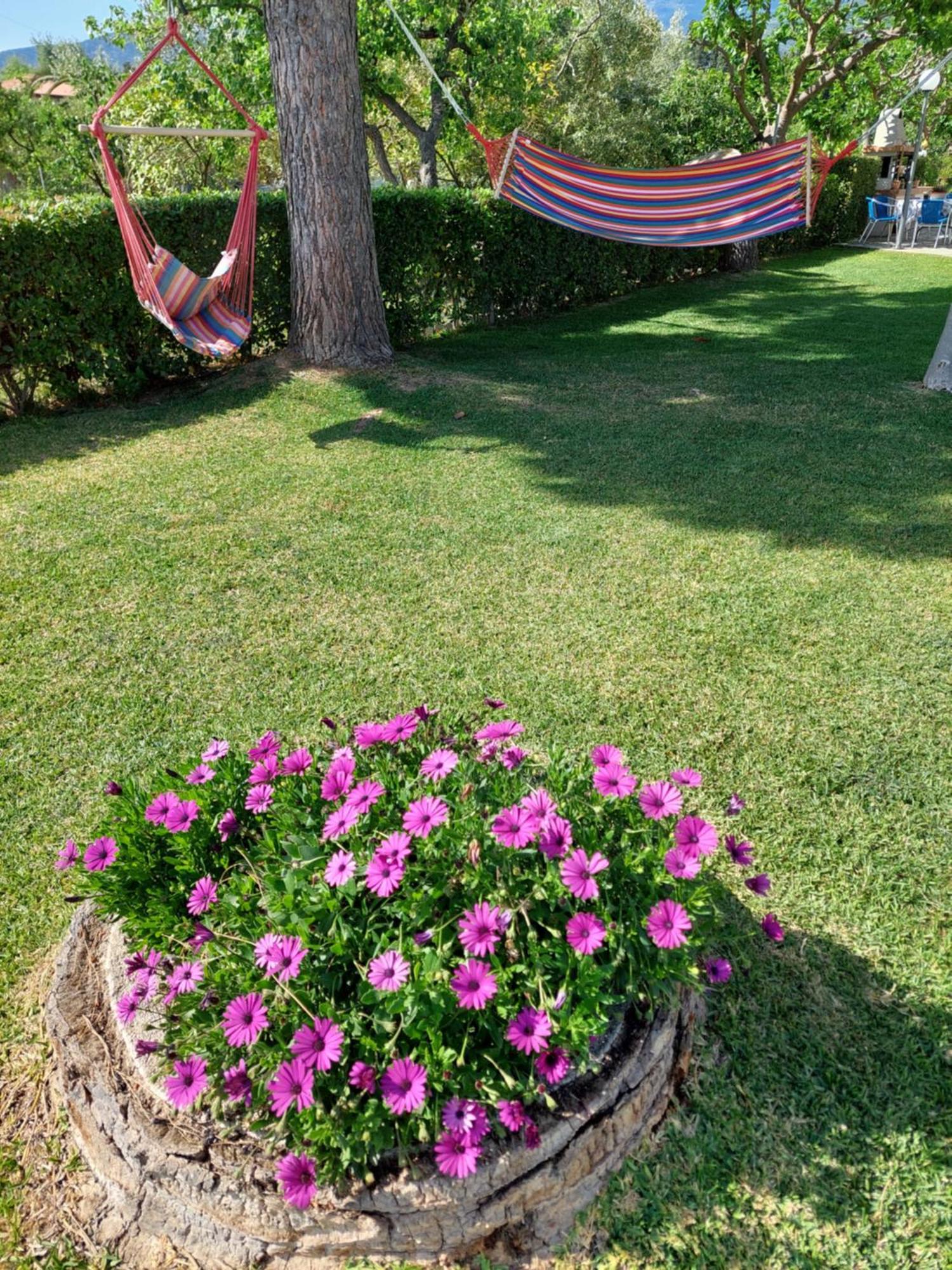 Platanidia Apartment Pelion Buitenkant foto