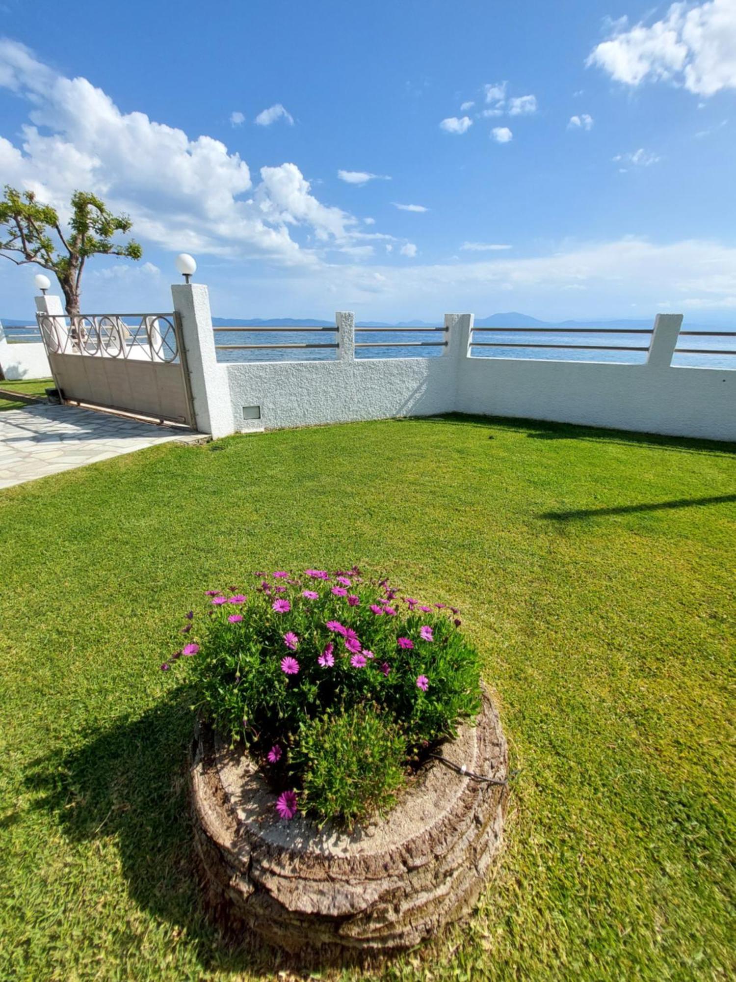 Platanidia Apartment Pelion Buitenkant foto