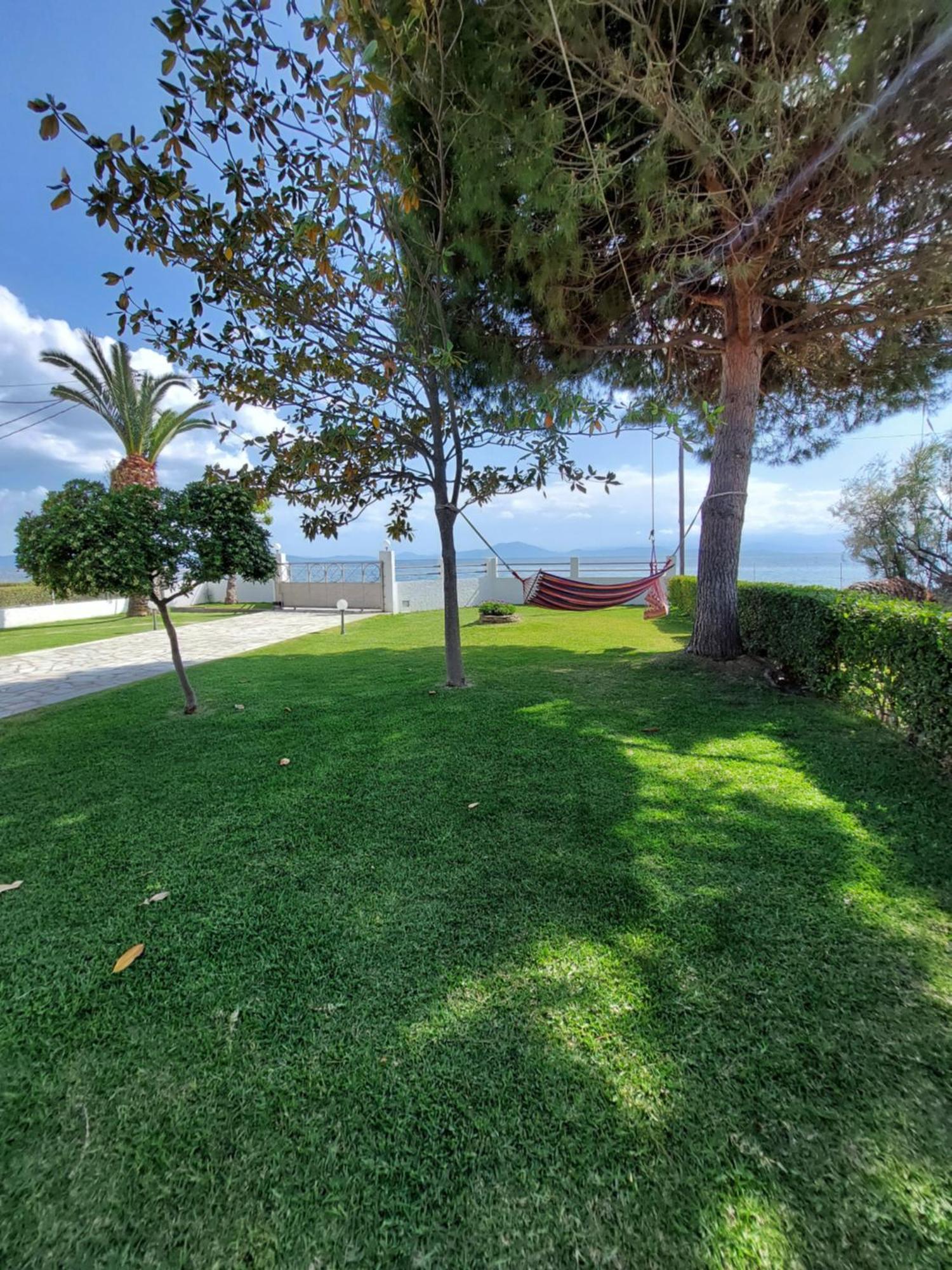 Platanidia Apartment Pelion Buitenkant foto