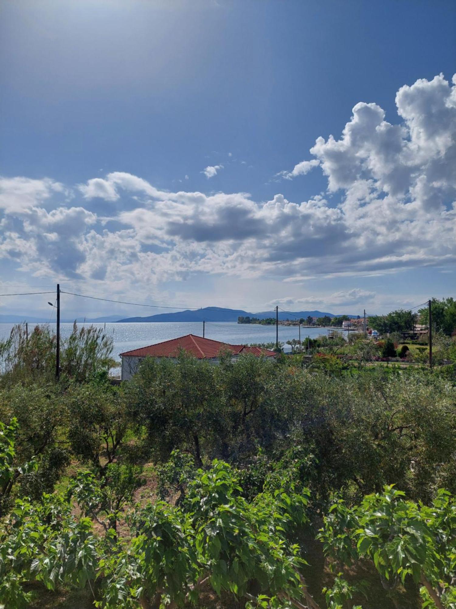 Platanidia Apartment Pelion Buitenkant foto